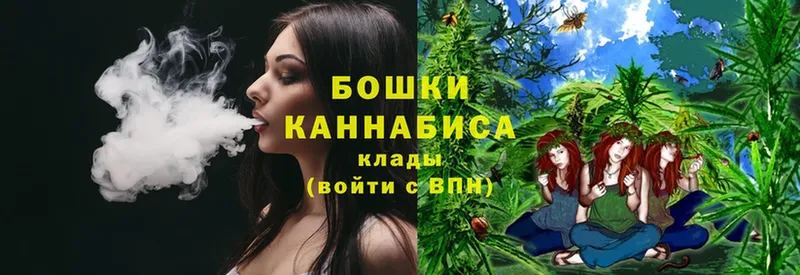 Бошки Шишки THC 21%  Серафимович 